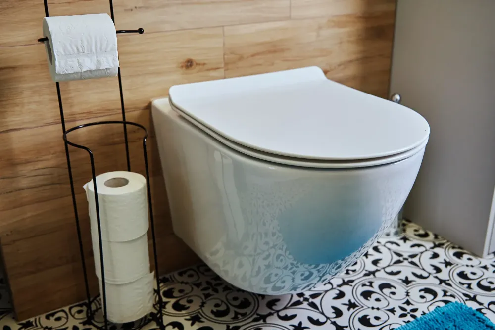 sanitaire (3)
